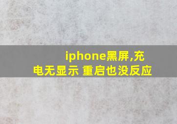 iphone黑屏,充电无显示 重启也没反应